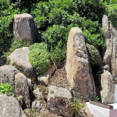 Gioietta Sulla Scogliera Vila Santa Teresa Gallura