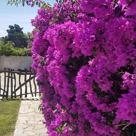 Gioietta Sulla Scogliera Vila
